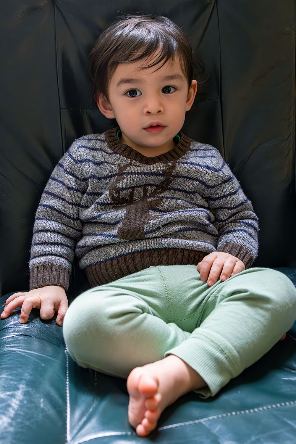 shayan-11