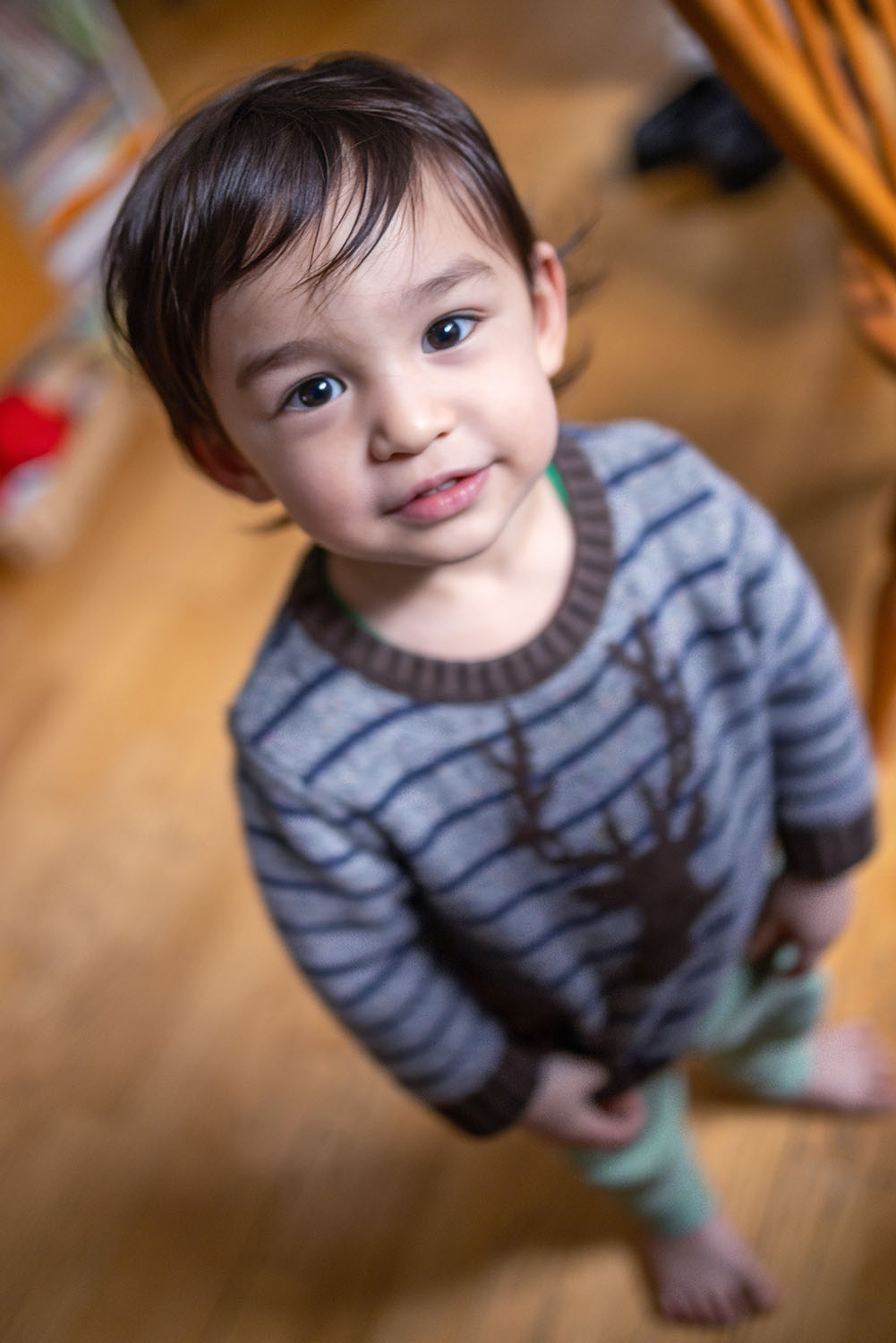 shayan-17