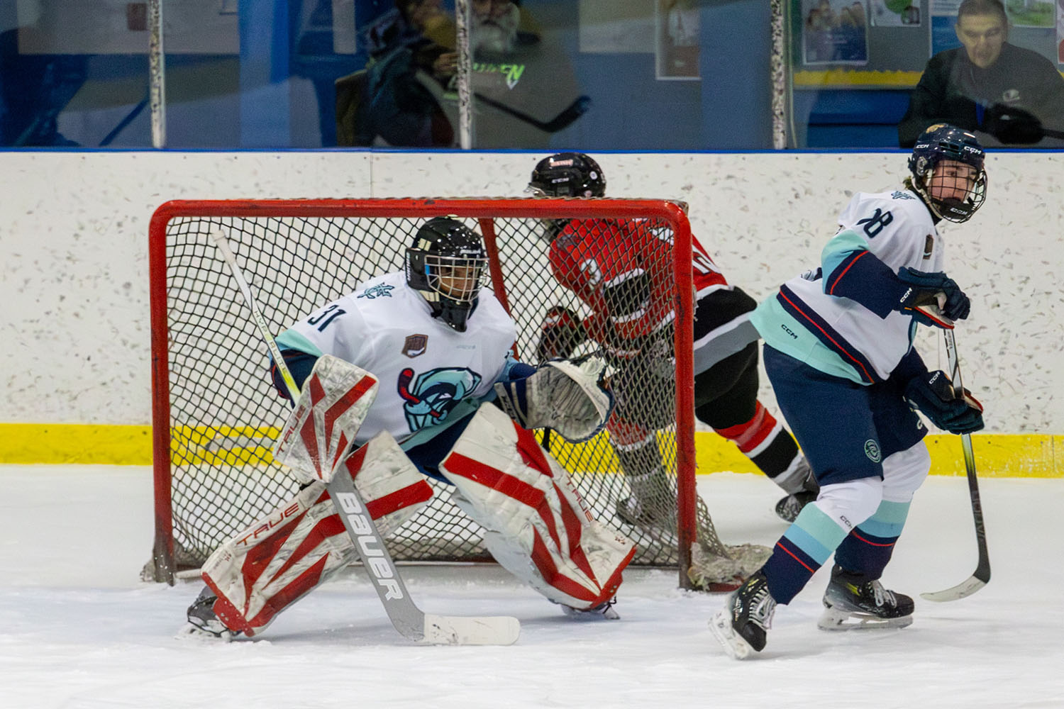 sockeyes-butcher-02