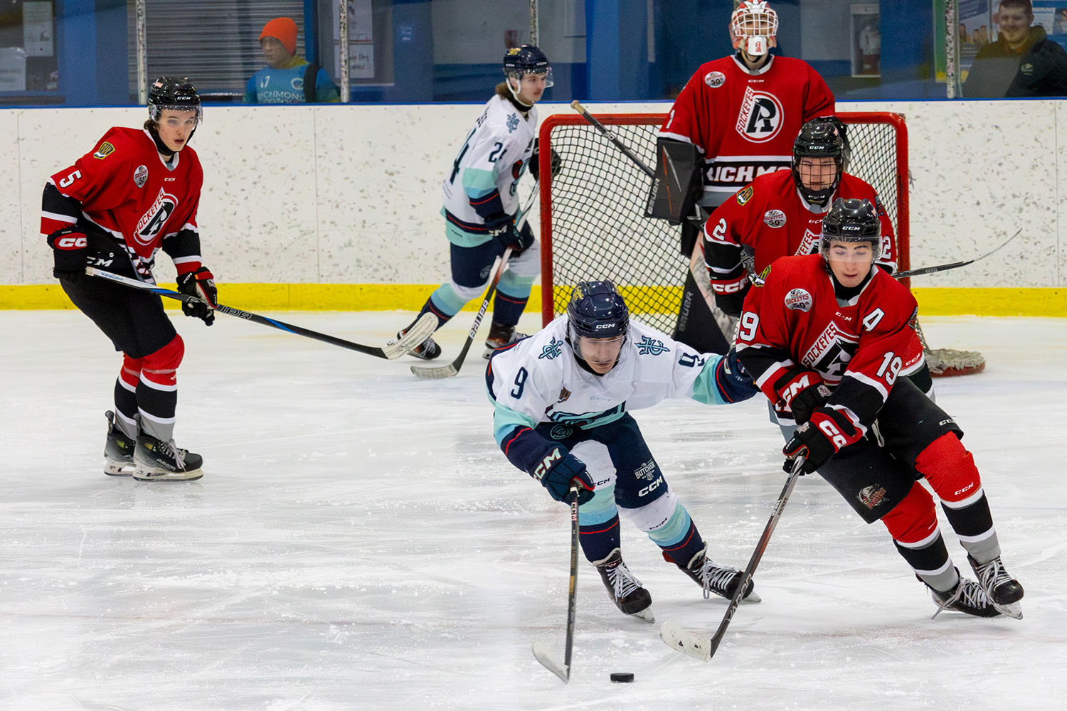 sockeyes-butcher-04