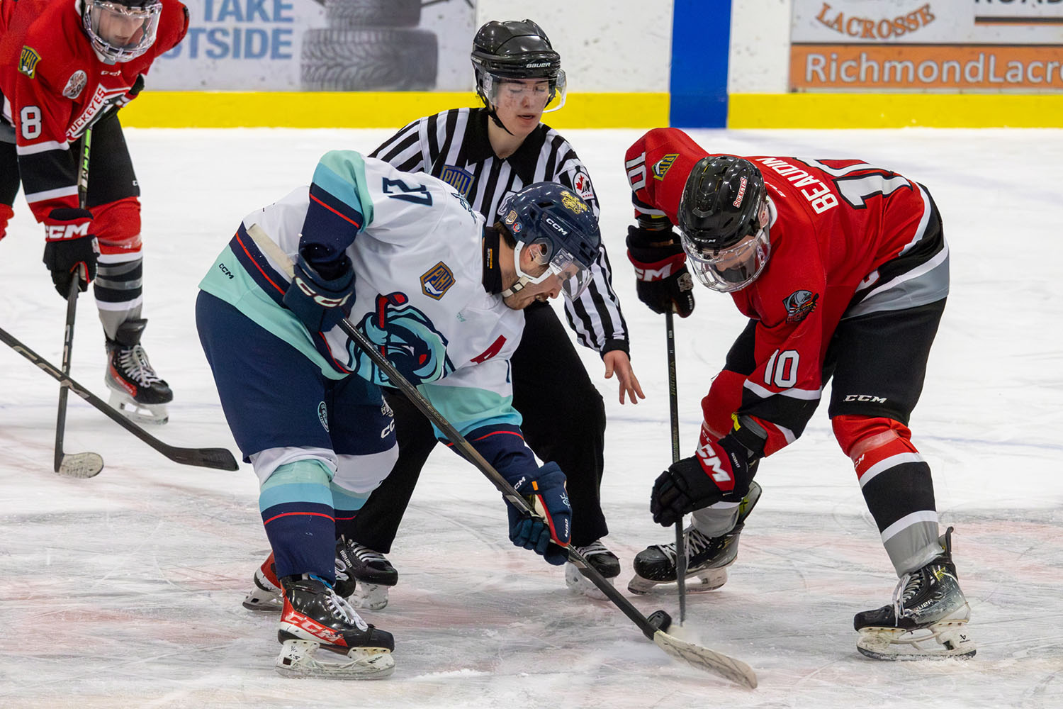 sockeyes-butcher-07