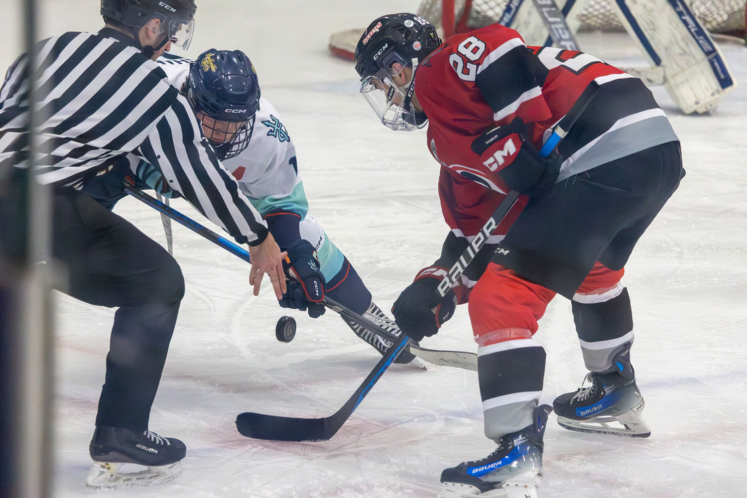 sockeyes-butcher-10