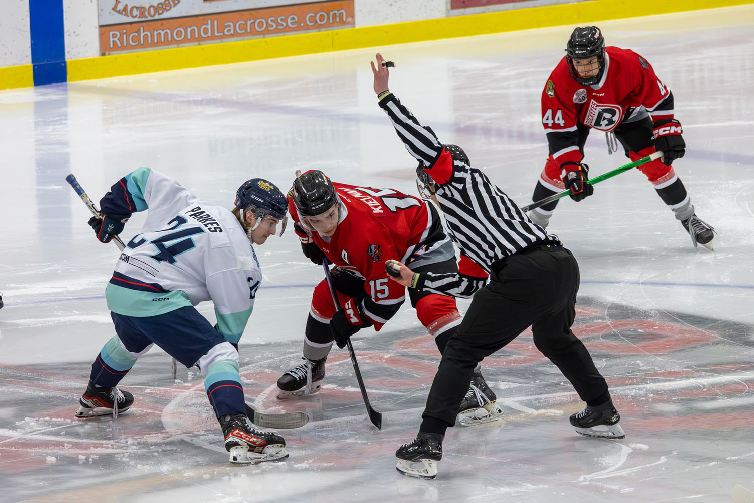 sockeyes-butcher-12