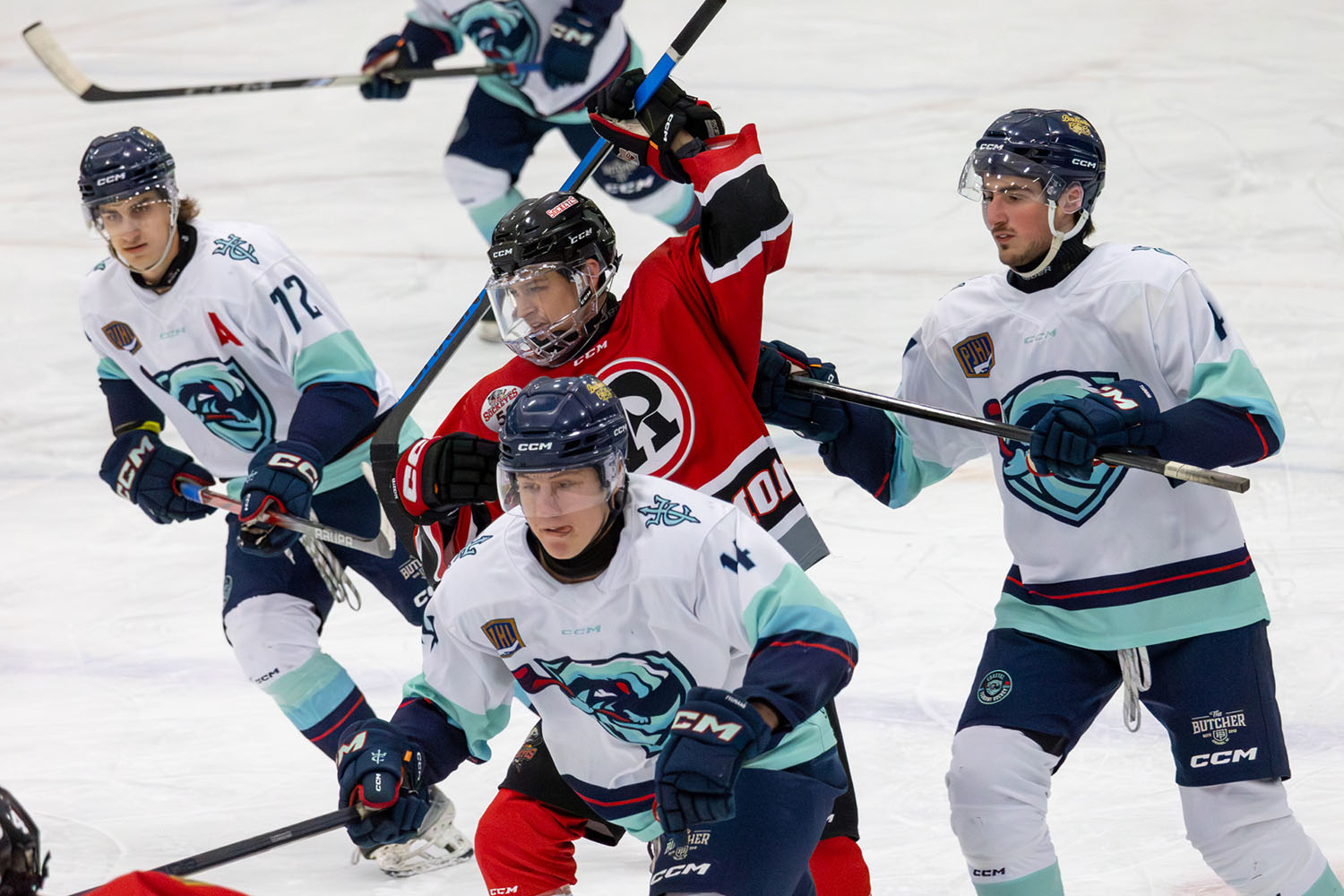 sockeyes-butcher-15