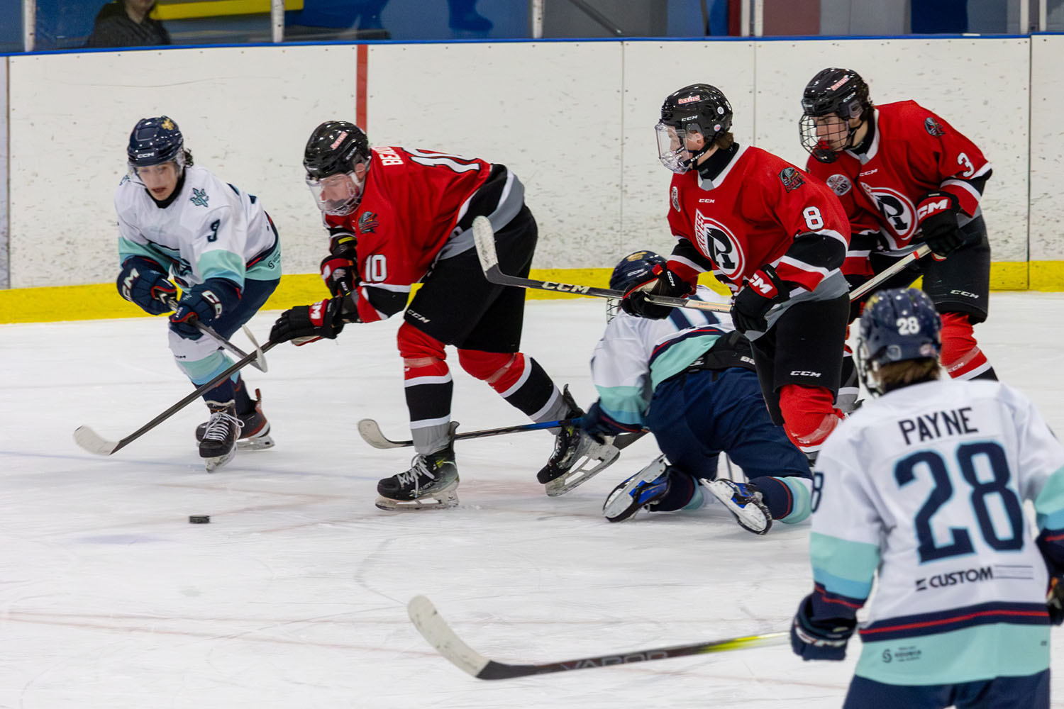 sockeyes-butcher-16