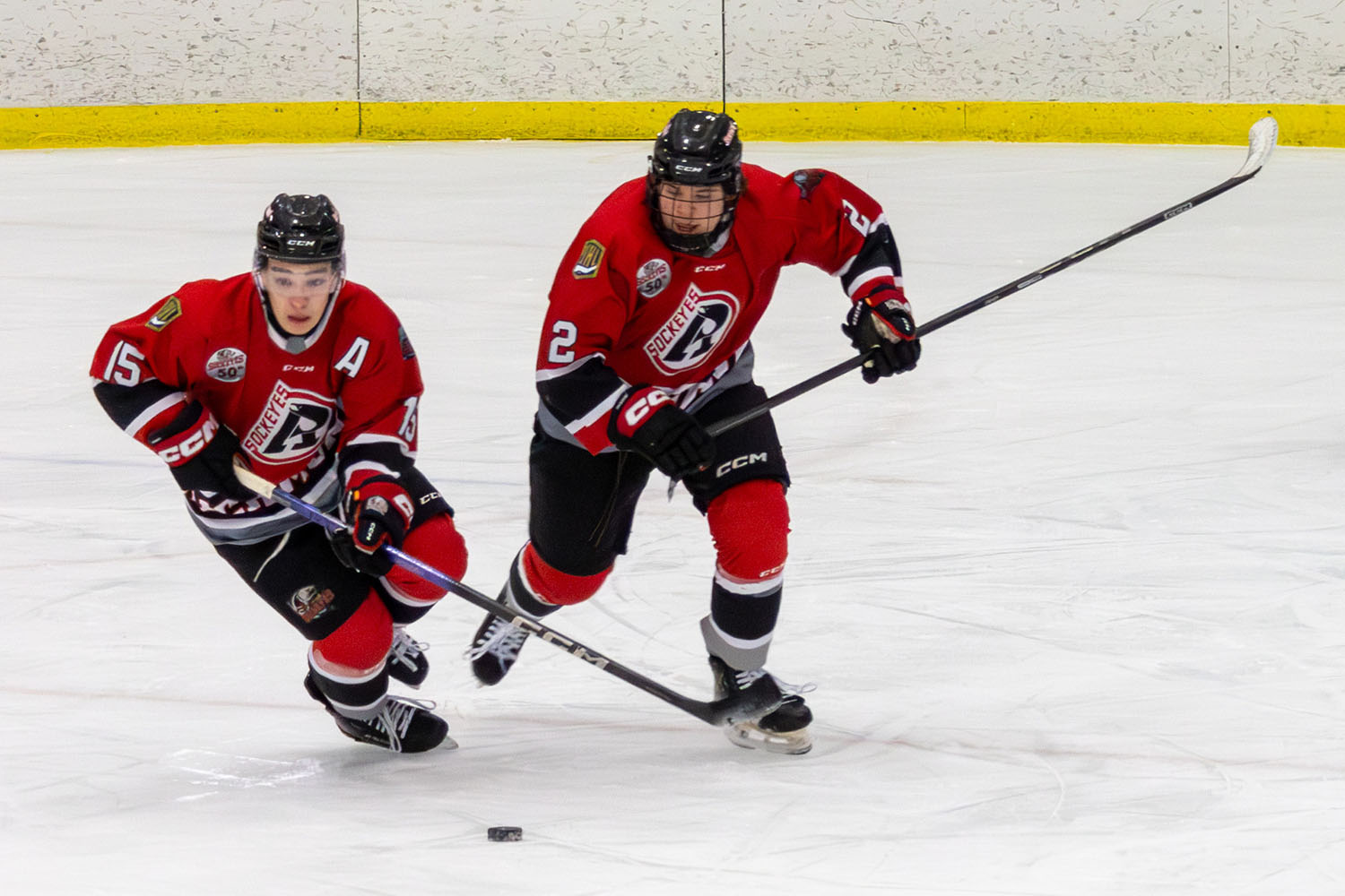 sockeyes-butcher-17