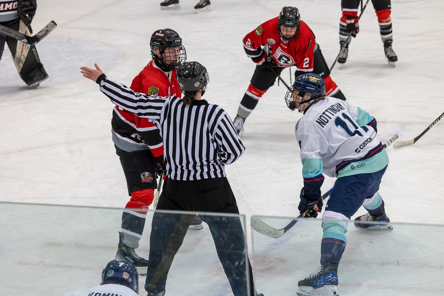 sockeyes-butcher-19
