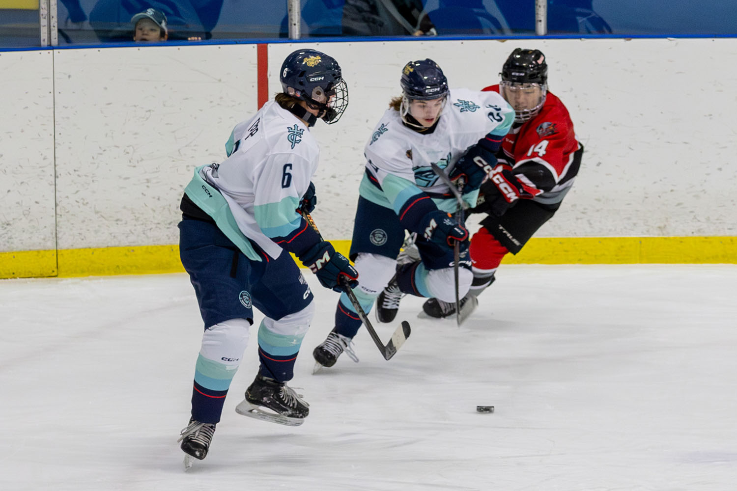 sockeyes-butcher-21