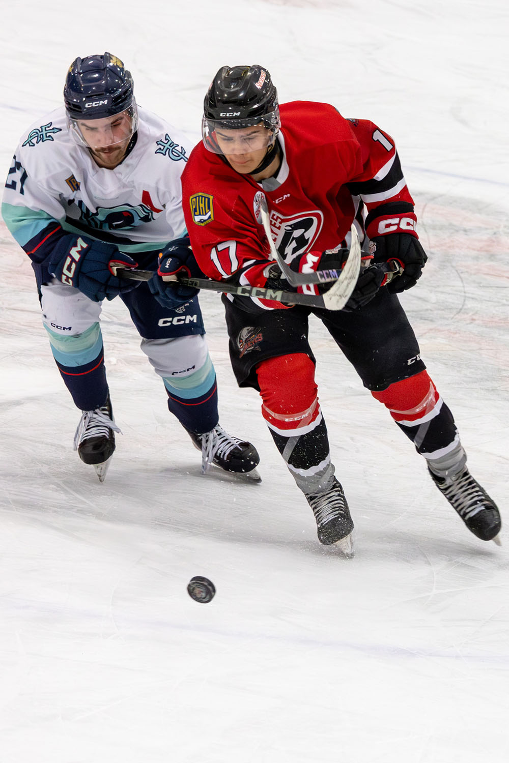 sockeyes-butcher-22