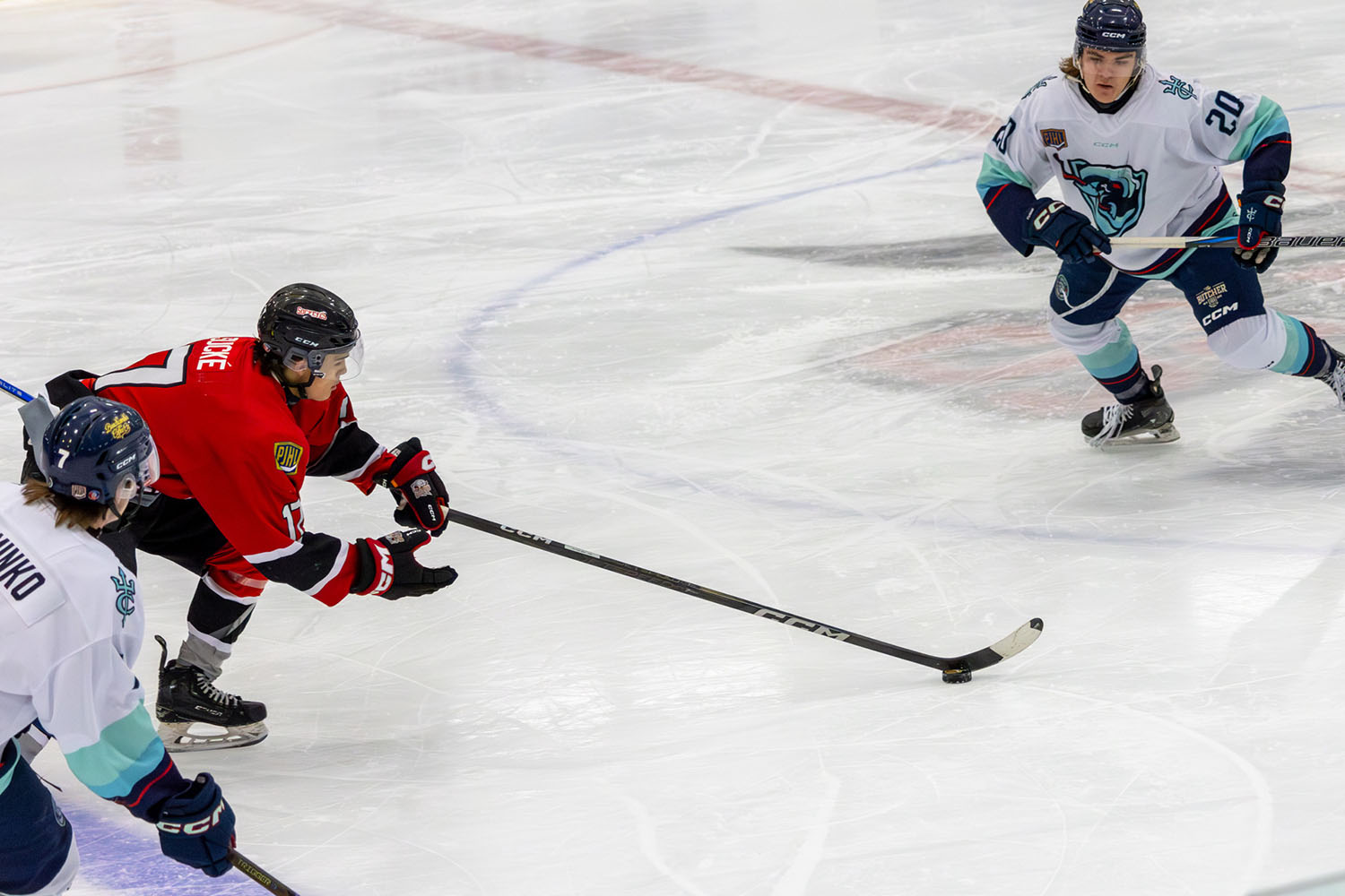 sockeyes-butcher-24
