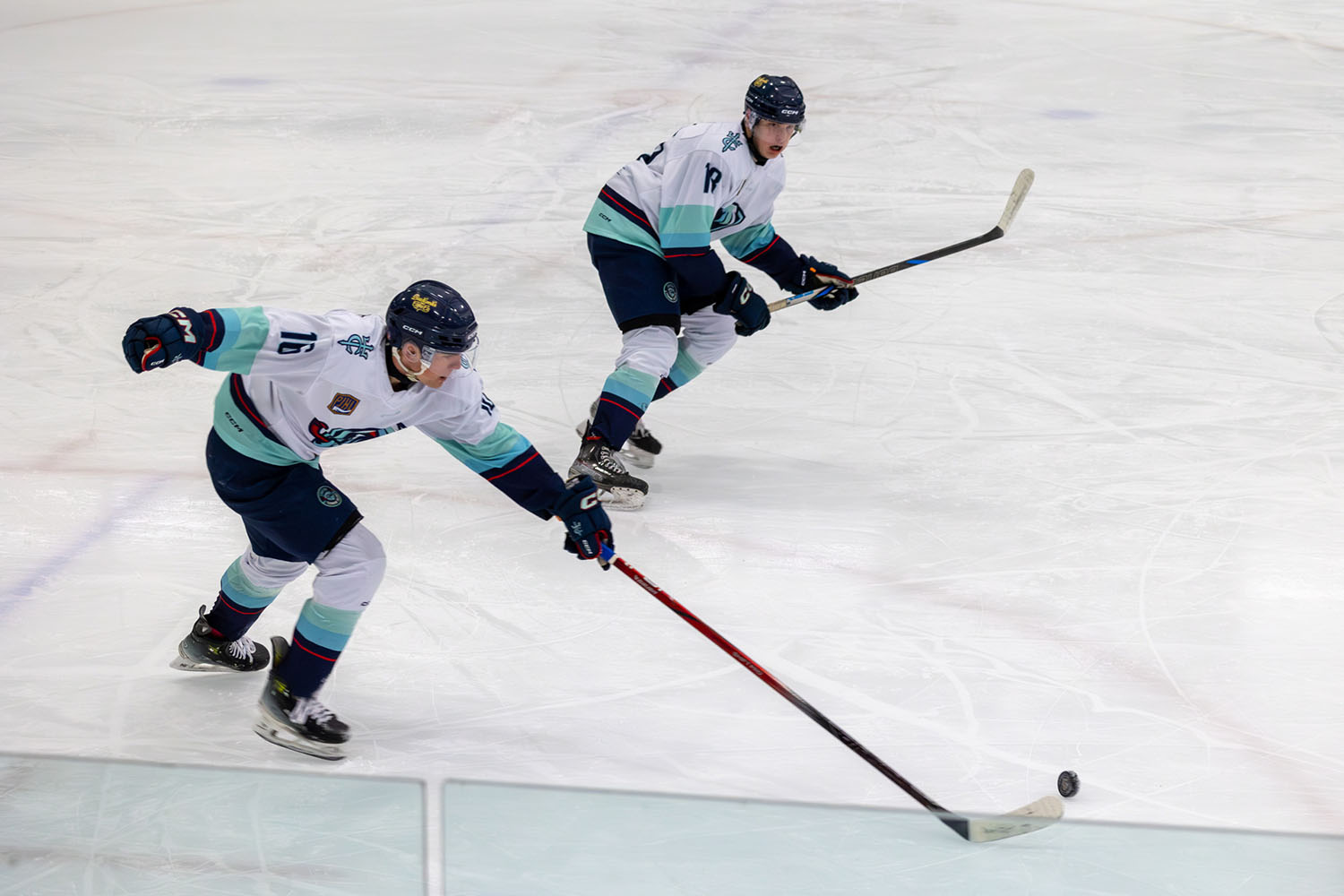 sockeyes-butcher-27