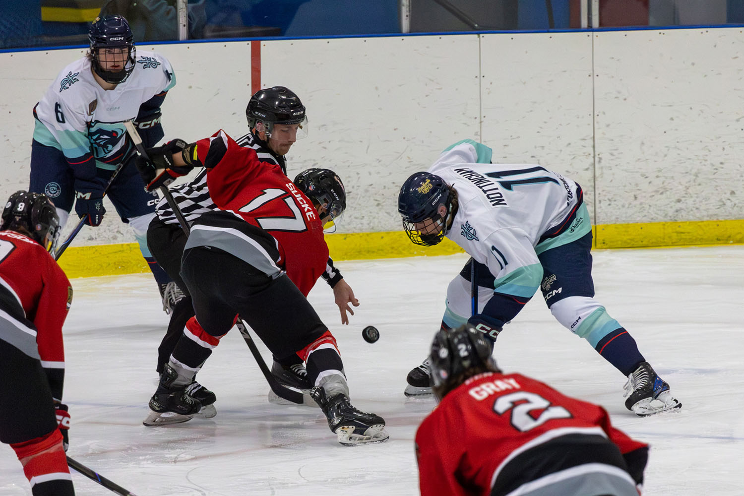 sockeyes-butcher-29