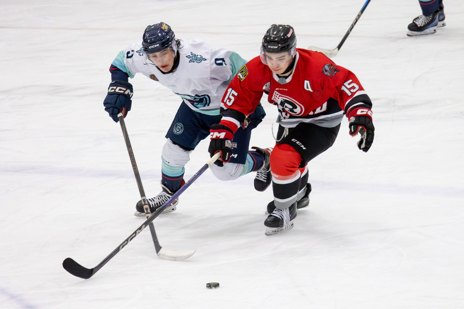 sockeyes-butcher-30