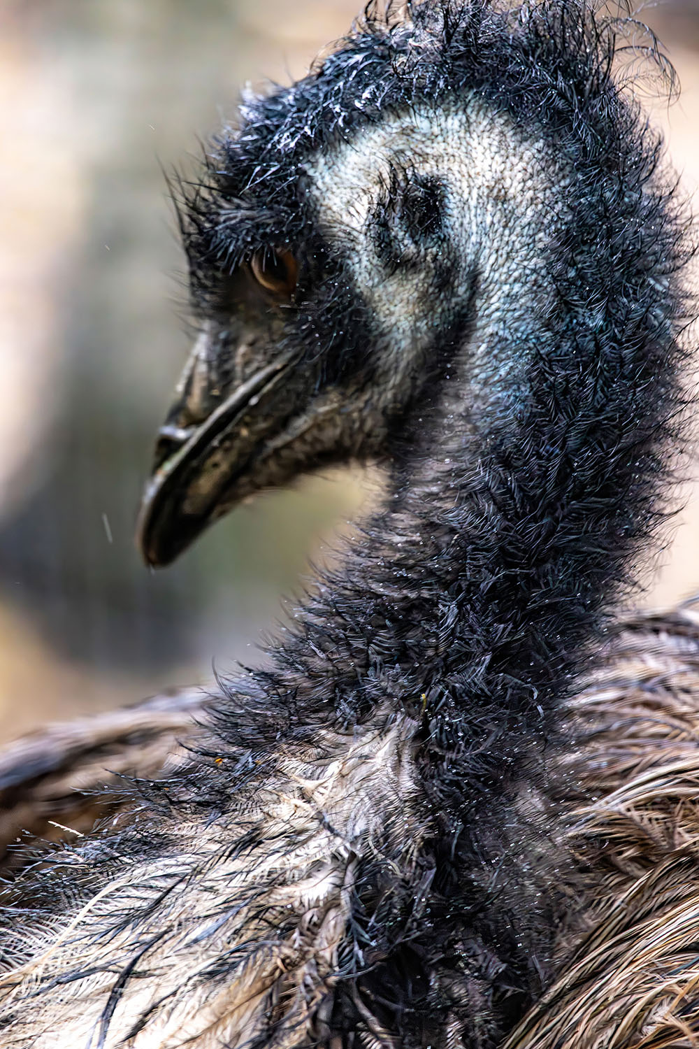 uu-farm-01