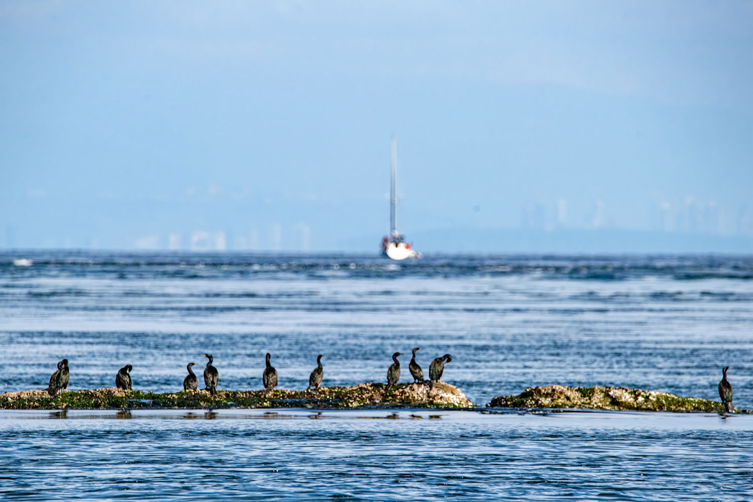 whale-watch-06