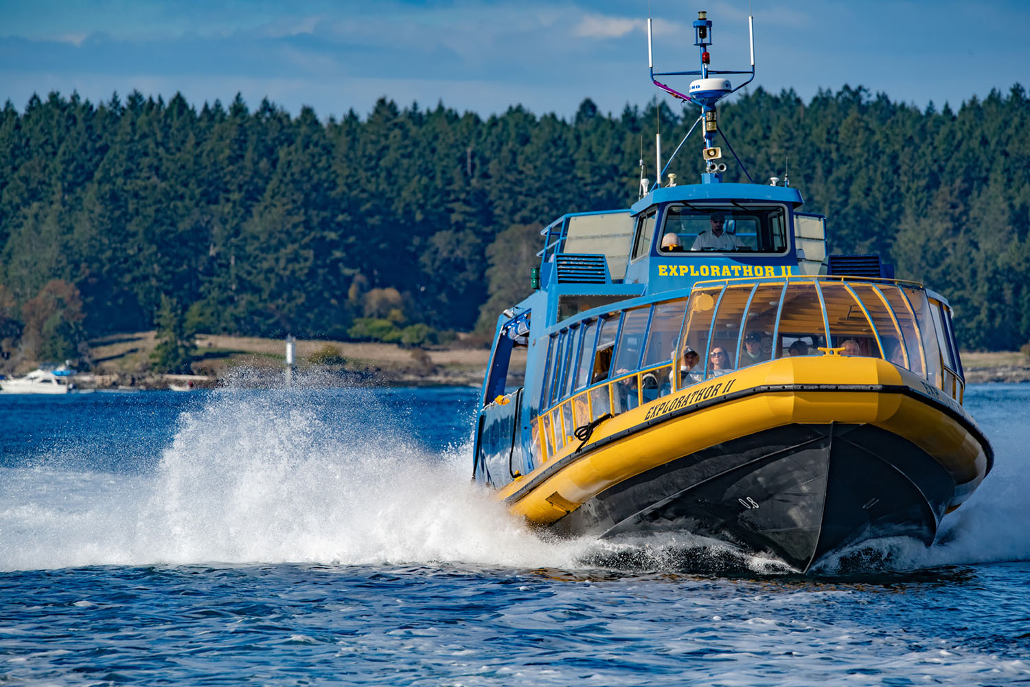 whale-watch-14