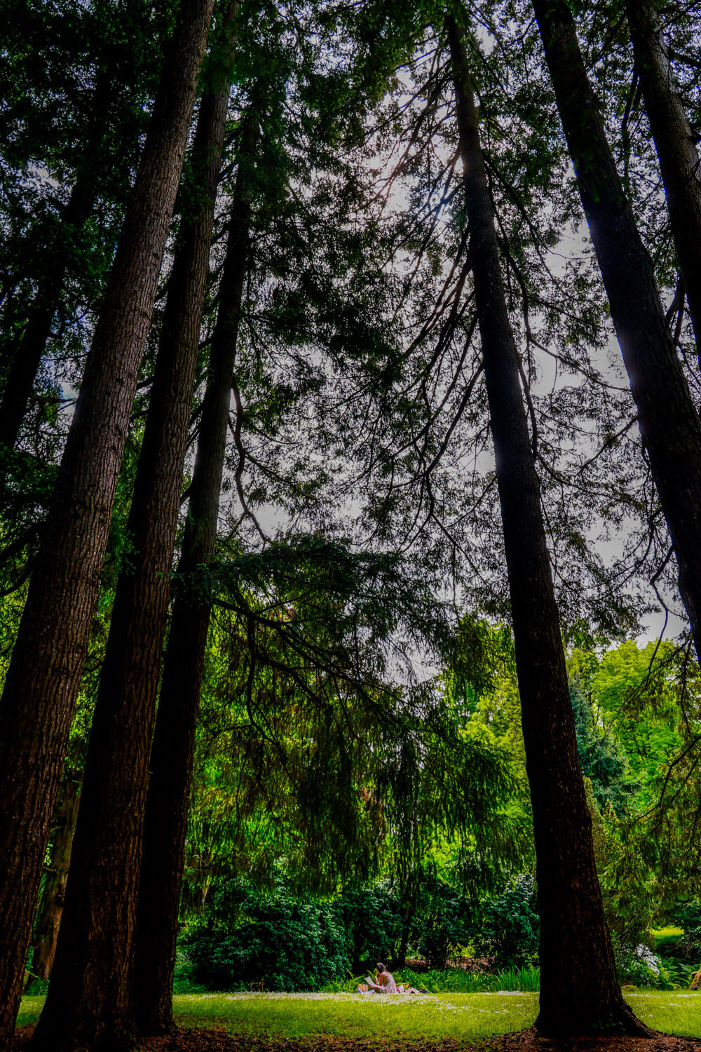 VanDusen_05
