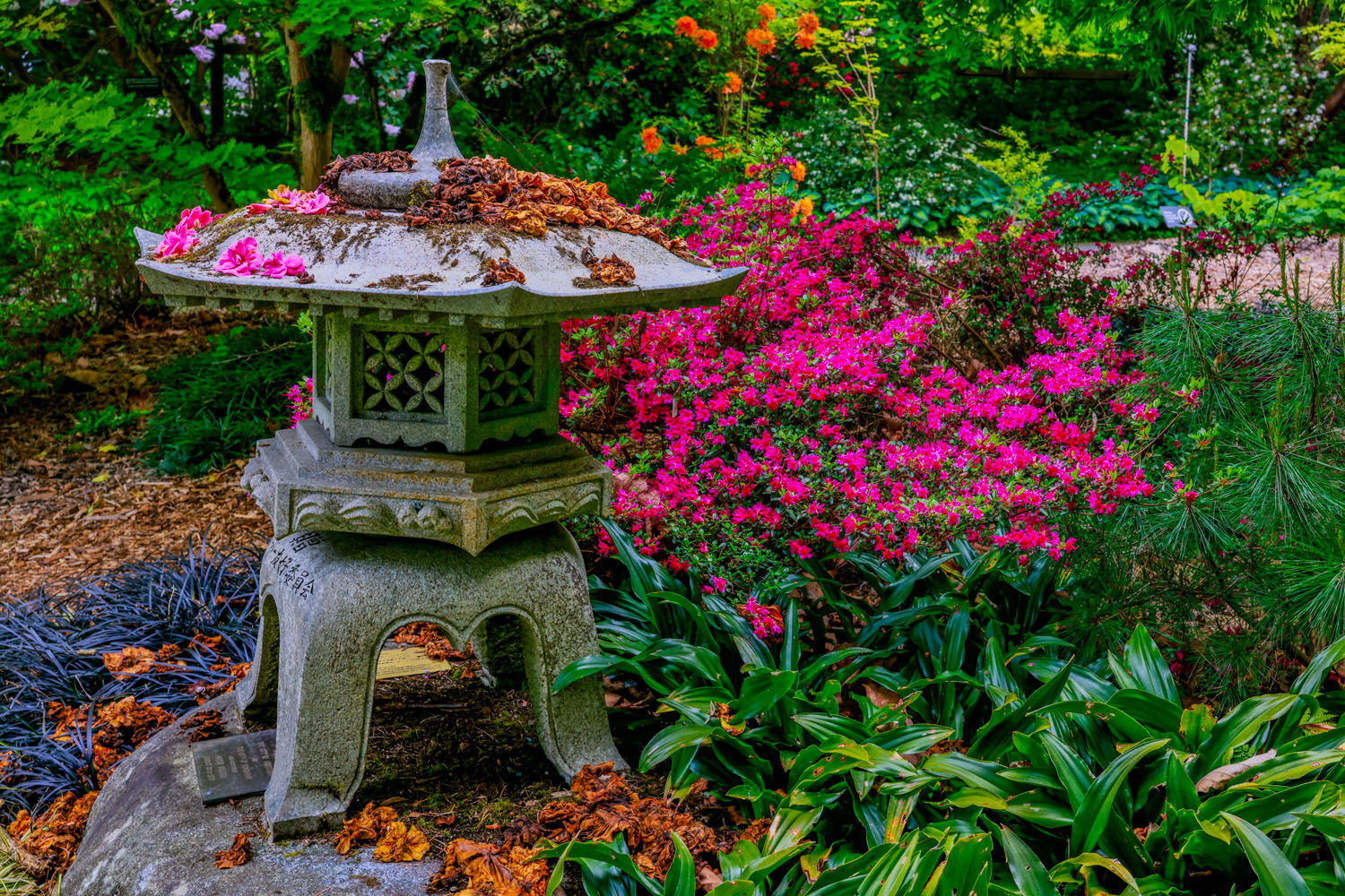 VanDusen_19