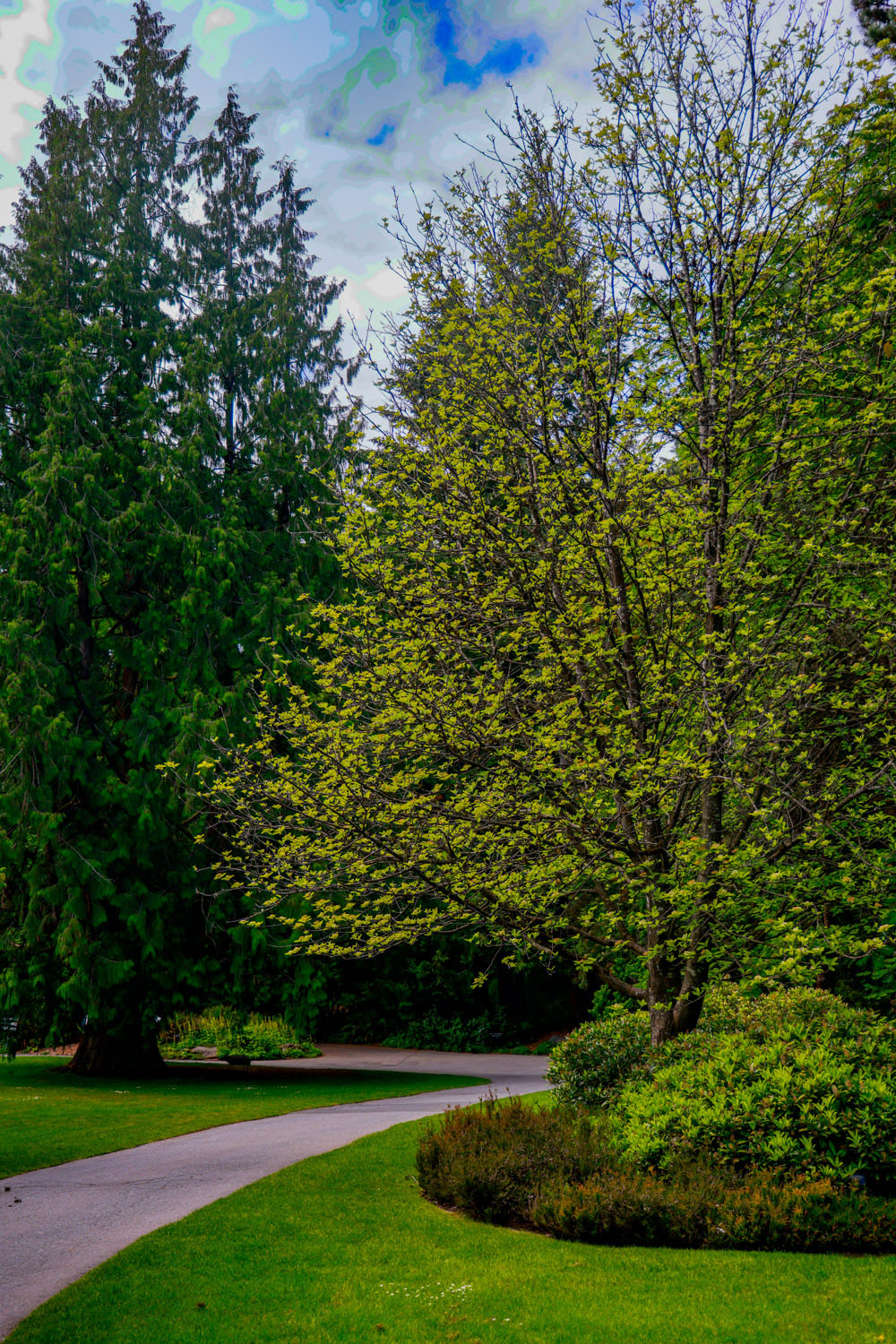 VanDusen_20