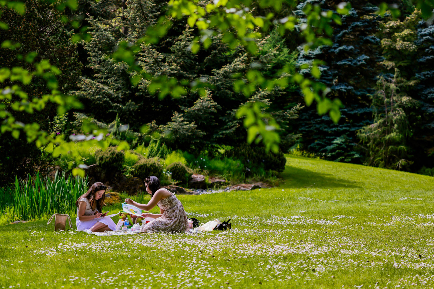 VanDusen_22