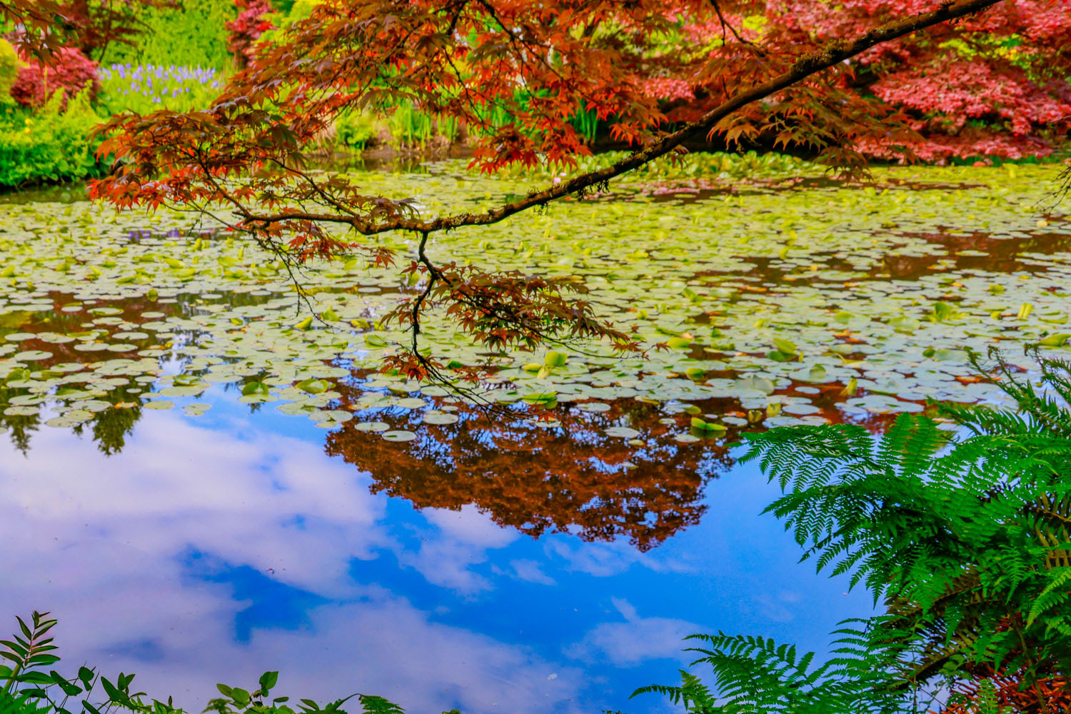 VanDusen_23