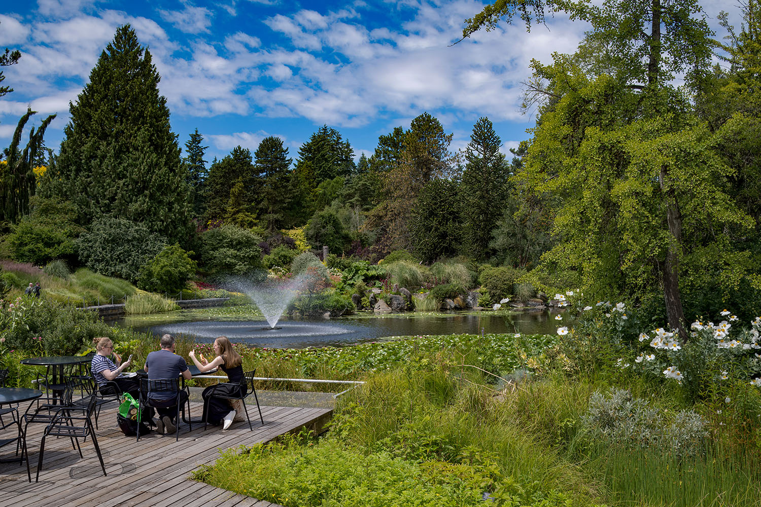 VanDusen_36