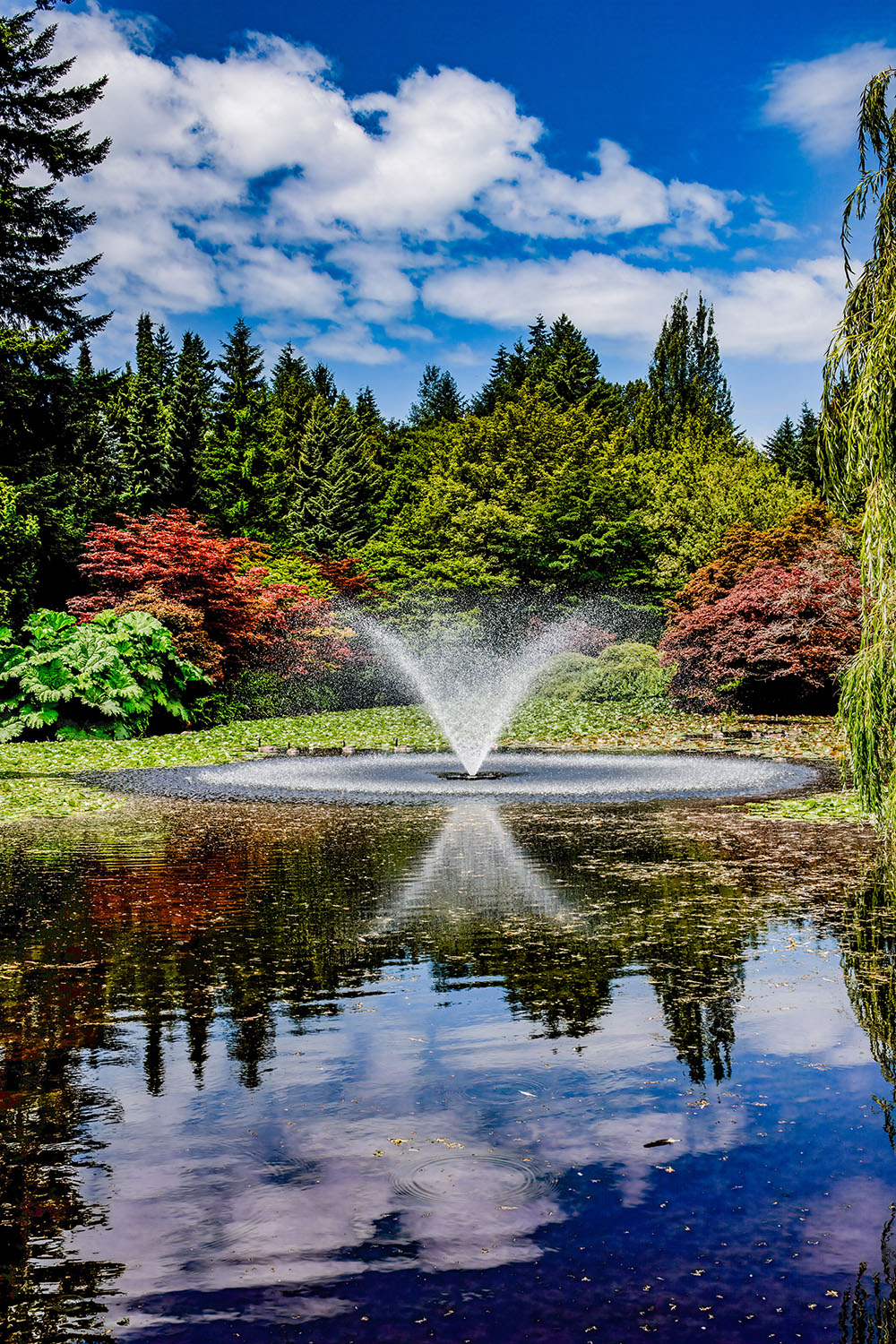 VanDusen_41